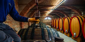 Debutta 'Millevini', nuova rassegna delle eccellenze vitivinicole promossa dalla