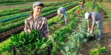 Il ricambio generazionale per l'agricoltura è sostenuto, per favorire i giovani, da Regione Lombardia