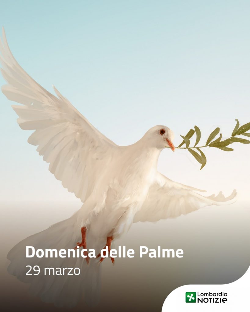 Oggi si celebra la ‘Domenica delle Palme’. Una ricorrenza che apre la Settimana Santa e ci avvicina a Pasqua. 
Buona domenica a tutti!

#lombardianotizieonline