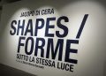 Inaugurata a Palazzo Lombardia la mostra ‘Shapes/Forme – Sotto la stessa luce’, progetto artistico e culturale che racconta lo sport paralimpico attraverso lo sguardo dell’arte contemporanea: 44 scatti dedicati a 44 atleti, che rappresentano il 100% delle discipline di atleti con disabilità