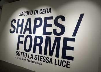 Inaugurata a Palazzo Lombardia la mostra ‘Shapes/Forme – Sotto la stessa luce’, progetto artistico e culturale che racconta lo sport paralimpico attraverso lo sguardo dell’arte contemporanea: 44 scatti dedicati a 44 atleti, che rappresentano il 100% delle discipline di atleti con disabilità