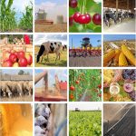 A Bruxelles la Lombardia ha presentato lesue proposte per la PAC post 2027