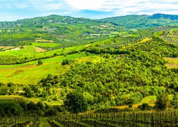 Aperto da Regione Lombardia il bando SRB01 per l'agricoltura di montagna