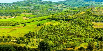 Aperto da Regione Lombardia il bando SRB01 per l'agricoltura di montagna