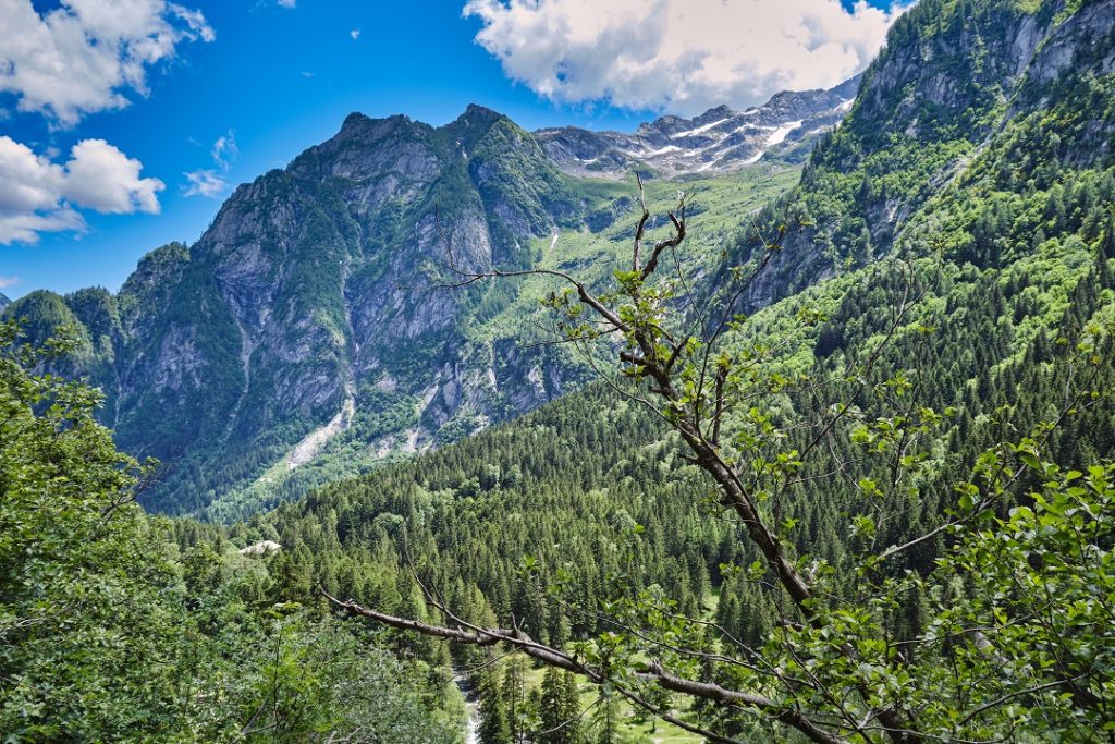 Approvato dalla Giunta regionale, su proposta dell'assessore alla Montagna ed Enti Locali, Massimo Sertori, il riparto dei contributi alle comunità montane per un totale di 12.500.000 euro