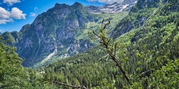 Approvato dalla Giunta regionale, su proposta dell'assessore alla Montagna ed Enti Locali, Massimo Sertori, il riparto dei contributi alle comunità montane per un totale di 12.500.000 euro