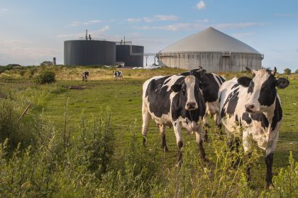 La Lombardia sostiene l'equiparazione del digestato a fertilizzante. Lo afferma l'assessore all'Agreicoltura, Alessandro Beduschi
