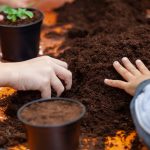 L'assessore regionale all'Ambiente e Clima, Giorgio Maione, ha presentato in Regione la nuova edizione di 'ColtiviAmo', progetto di educazione agraria e ambientale rivolto alle scuole