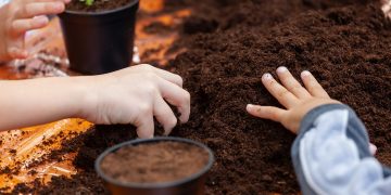 L'assessore regionale all'Ambiente e Clima, Giorgio Maione, ha presentato in Regione la nuova edizione di 'ColtiviAmo', progetto di educazione agraria e ambientale rivolto alle scuole