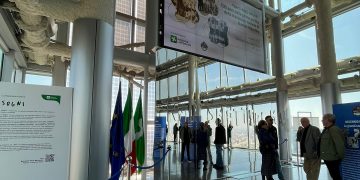 Al Belvedere di Palazzo Lombardia oltre mille visitatori per la mostra che celebra i 100 anni della Nazionale di basket