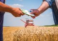 Credito più facile per le imprese dell'agricoltura della Lombardia grazie a Finlombarda