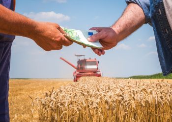 Credito più facile per le imprese dell'agricoltura della Lombardia grazie a Finlombarda