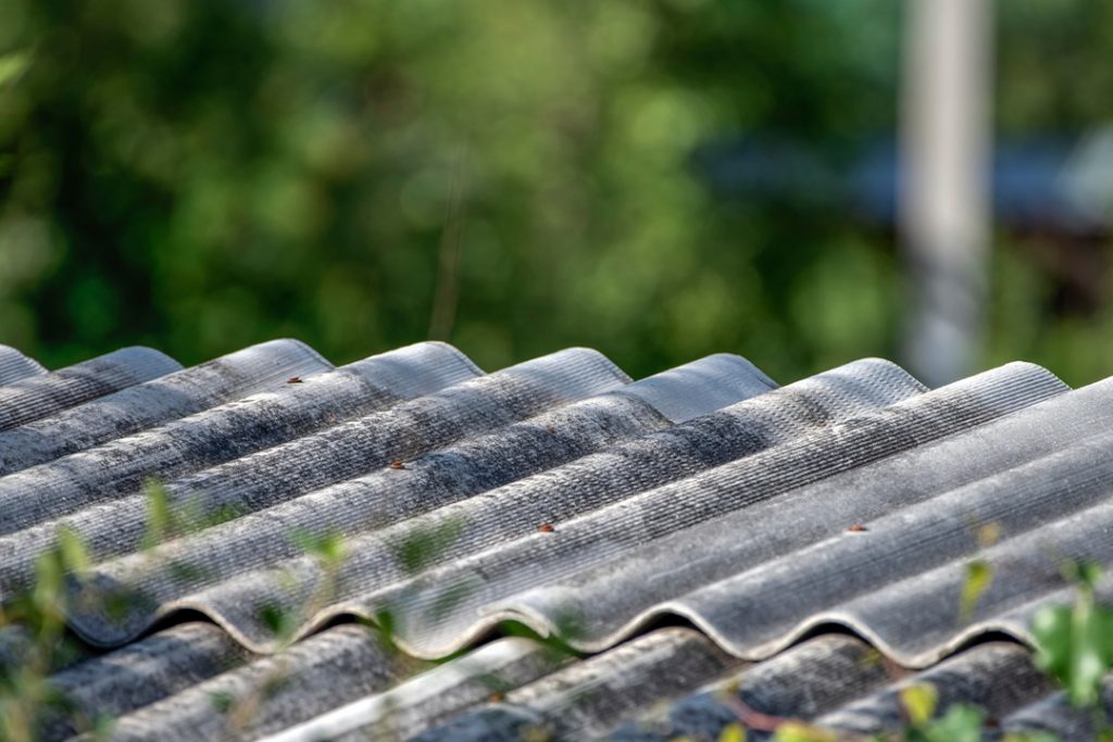 Giornata Mondiale dedicata alle vittime dell’amianto,