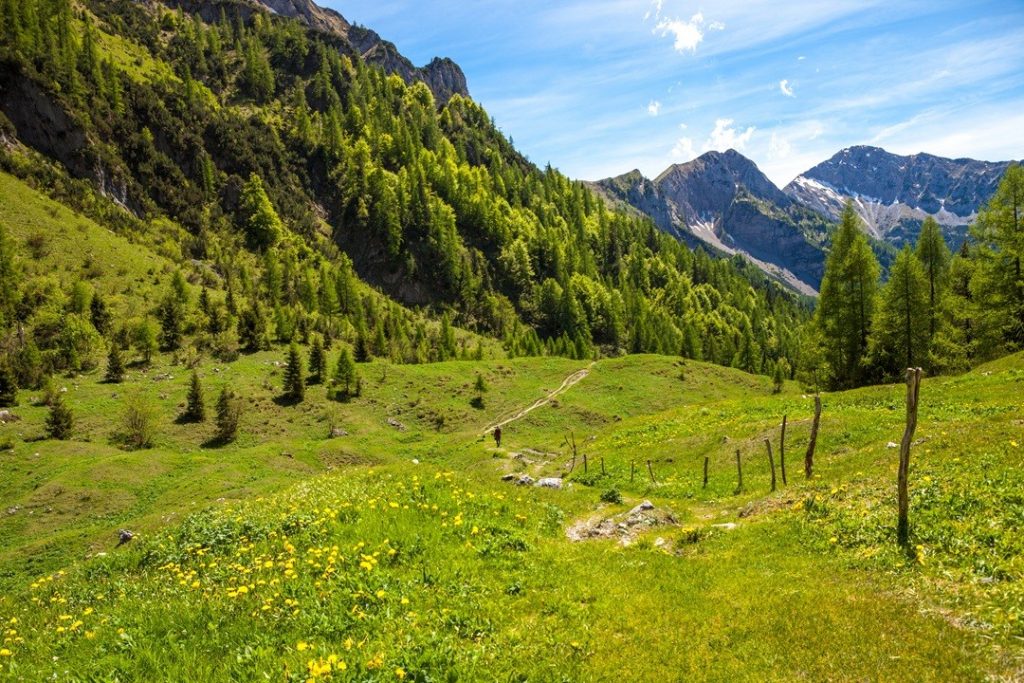 Con nuove risorse completato il finanziamento del bando assestamento forestale della Regione Lombardia
