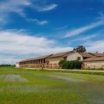 foto generica di un terreno interessato dai lavori per impianti agrivoltaici su cui regione ha dato parere negativo