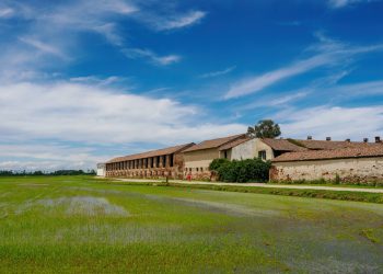 foto generica di un terreno interessato dai lavori per impianti agrivoltaici su cui regione ha dato parere negativo