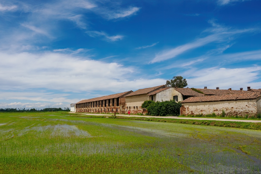 foto generica di un terreno interessato dai lavori per impianti agrivoltaici su cui regione ha dato parere negativo