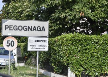 Ok della Giunta allo Schema di accordo per l'Area Interna Oltrepò Mantovano di cui fa parte Pegognaga e il suo sviluppo