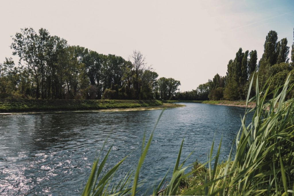 Nuove risorse regionali ai Consorzi di bonifica della Lombardia per la manutenzione dei corsi d’acqua e la sicurezza del territorio: 1.393.967 milioni di euro