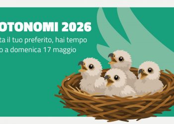 Al via il Totonomi in dialetto lombardo per i pulli di Giò e Giulia
