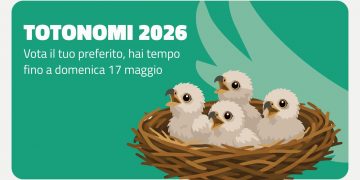 Al via il Totonomi in dialetto lombardo per i pulli di Giò e Giulia