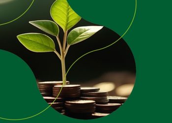 immagine simbolica con piantina e soldi per dare idea del progetto sul green budgeting in lombardia