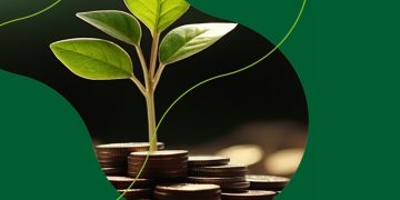 immagine simbolica con piantina e soldi per dare idea del progetto sul green budgeting in lombardia