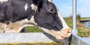Dalla Lombardia fondi per il miglioramento irriguo delle aziende agricole e il benessere animale