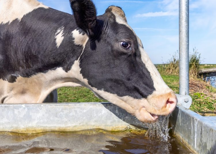 Dalla Lombardia fondi per il miglioramento irriguo delle aziende agricole e il benessere animale