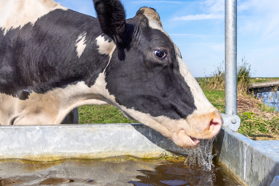 Dalla Lombardia fondi per il miglioramento irriguo delle aziende agricole e il benessere animale