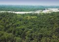 LIFE FOREST4FUTURE è il progetto innovativo per la tutela del parchi e del patrimonio naturale, con capofila il Parco Valle del Ticino.