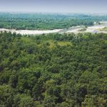 LIFE FOREST4FUTURE è il progetto innovativo per la tutela del parchi e del patrimonio naturale, con capofila il Parco Valle del Ticino.