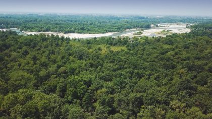 LIFE FOREST4FUTURE è il progetto innovativo per la tutela del parchi e del patrimonio naturale, con capofila il Parco Valle del Ticino.
