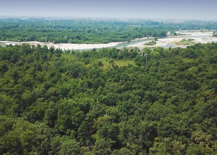 LIFE FOREST4FUTURE è il progetto innovativo per la tutela del parchi e del patrimonio naturale, con capofila il Parco Valle del Ticino.