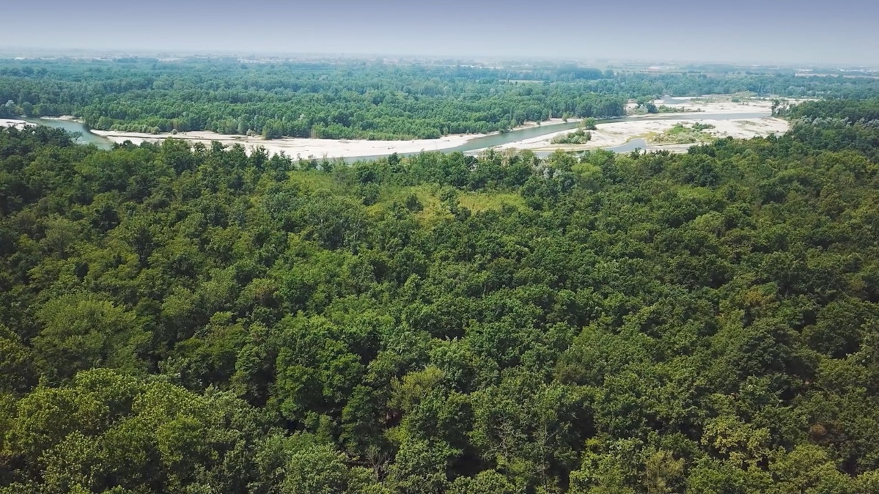 LIFE FOREST4FUTURE è il progetto innovativo per la tutela del parchi e del patrimonio naturale, con capofila il Parco Valle del Ticino.