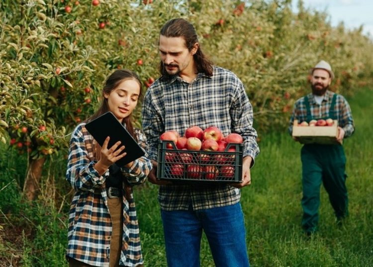 Nuove risorse, con un bando, per sostenere, in Lombardia, i giovani che, nel 2026, scelgono di costruire il proprio futuro in agricoltura.