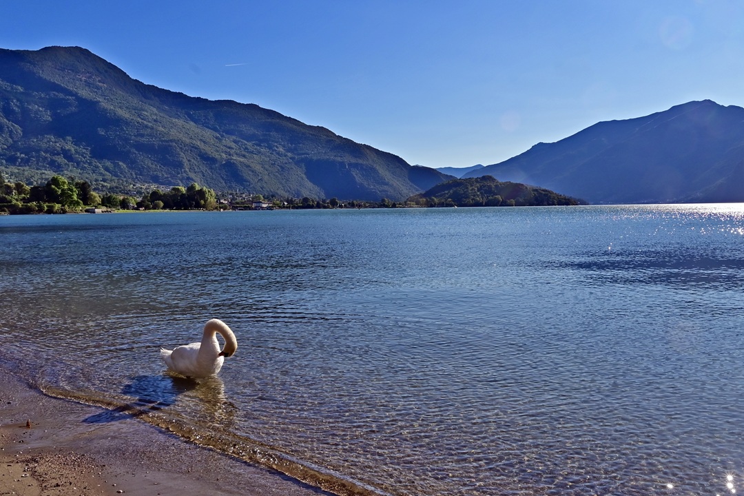 Intesa in Lombardia con gli operatori idroelettrici per il rilascio di acqua nel Lago di Como