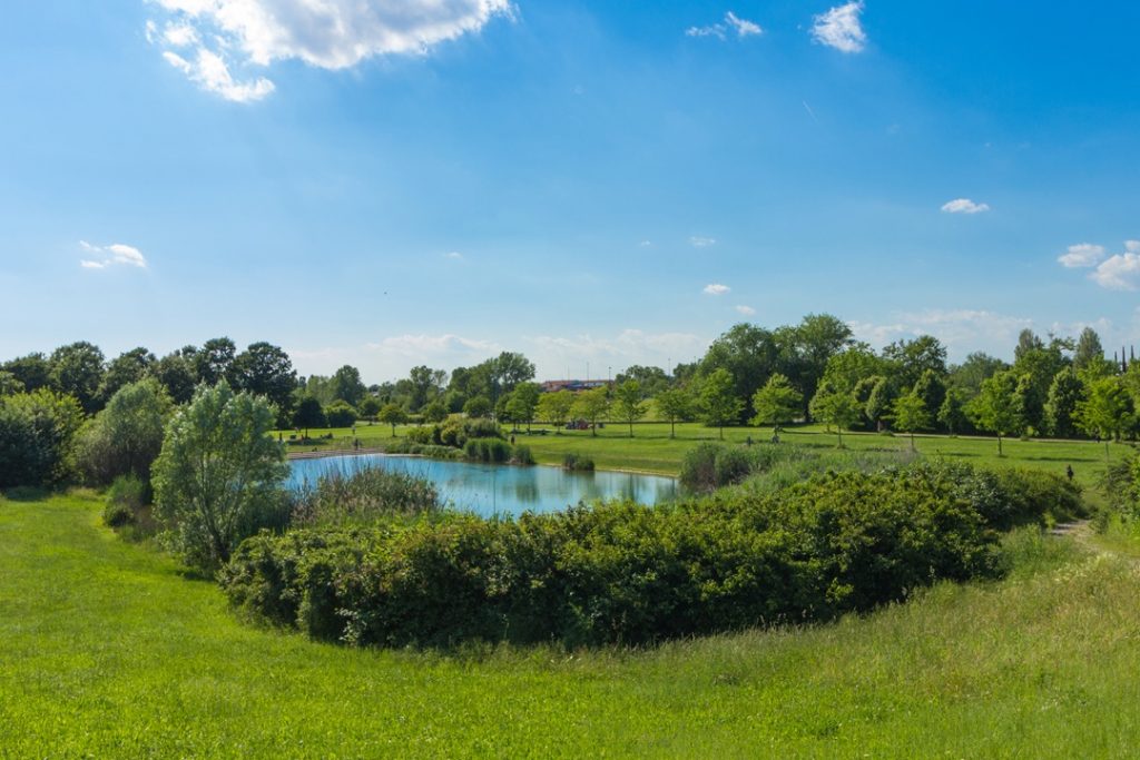 Da Regione Lombardia 300.000 euro di indennizzi a favore dei parchi 8in foto Parco Nord Milano) e delle aree protette per i danni provocati dalla fauna selvatica.