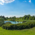 Da Regione Lombardia 300.000 euro di indennizzi a favore dei parchi 8in foto Parco Nord Milano) e delle aree protette per i danni provocati dalla fauna selvatica.