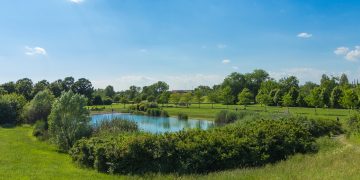 Da Regione Lombardia 300.000 euro di indennizzi a favore dei parchi 8in foto Parco Nord Milano) e delle aree protette per i danni provocati dalla fauna selvatica.