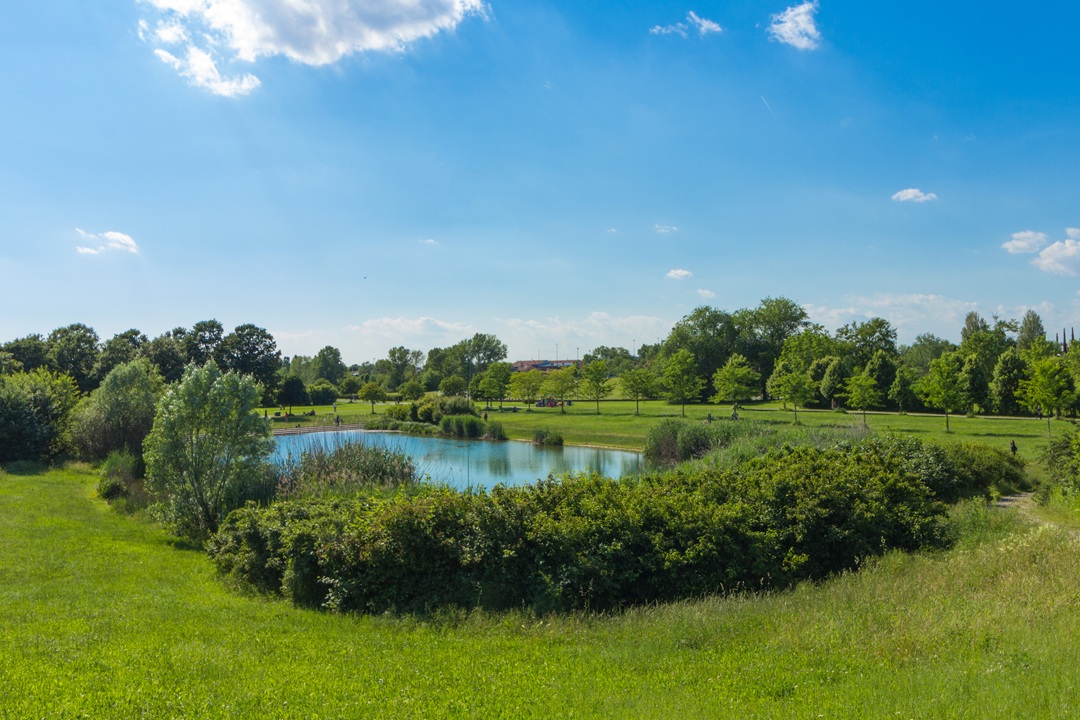 Da Regione Lombardia 300.000 euro di indennizzi a favore dei parchi 8in foto Parco Nord Milano) e delle aree protette per i danni provocati dalla fauna selvatica.