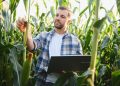Da Regione Lombardia finanziamenti alle imprese dell'agricoltura per favorire competitività e innovazione