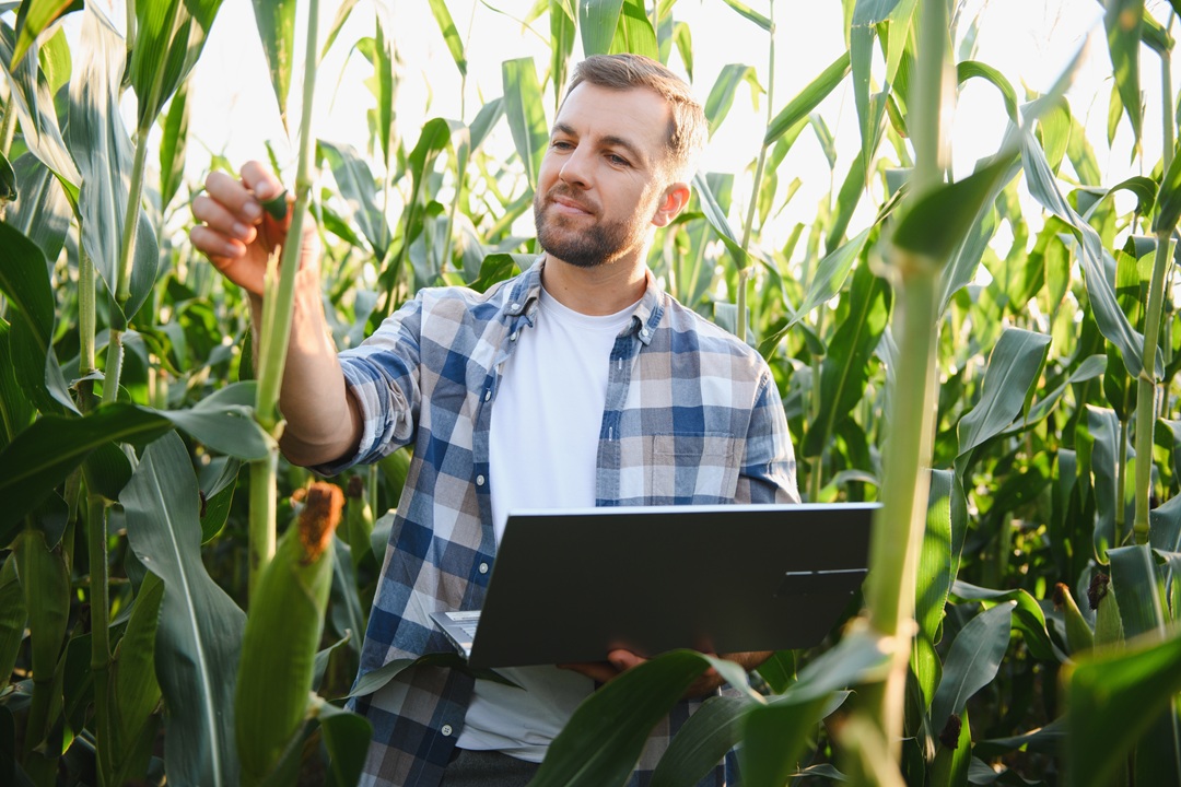 Da Regione Lombardia finanziamenti alle imprese dell'agricoltura per favorire competitività e innovazione