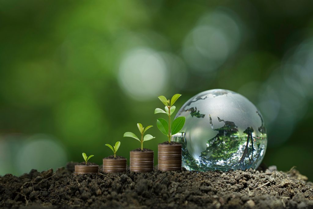 immagine generica di mondo con piantine per dare idea del cs di Regione Lombardia per la giornata mondiale dell'ambiente 2026