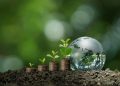 immagine generica di mondo con piantine per dare idea del cs di Regione Lombardia per la giornata mondiale dell'ambiente 2026
