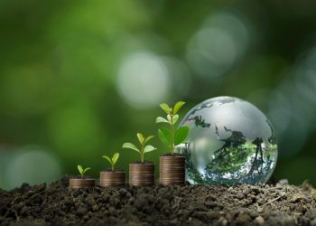 immagine generica di mondo con piantine per dare idea del cs di Regione Lombardia per la giornata mondiale dell'ambiente 2026