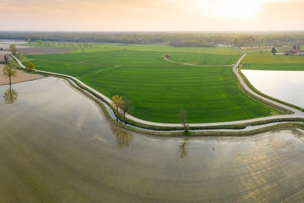 Con le risaie in Lomellina la lombardia sta già sperimentando le Tecniche di evoluzione assistita in agricoltura e guarda già a vite e mais