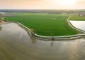 Con le risaie in Lomellina la lombardia sta già sperimentando le Tecniche di evoluzione assistita in agricoltura e guarda già a vite e mais