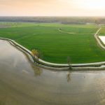 Con le risaie in Lomellina la lombardia sta già sperimentando le Tecniche di evoluzione assistita in agricoltura e guarda già a vite e mais