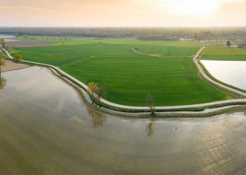 Con le risaie in Lomellina la lombardia sta già sperimentando le Tecniche di evoluzione assistita in agricoltura e guarda già a vite e mais
